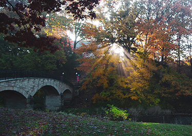 A determined College concludes historic on-campus semester